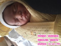 44岁大龄广州代妈超能取卵12个