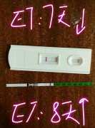 46岁广东肖女士移植XY囊胚成功妊娠